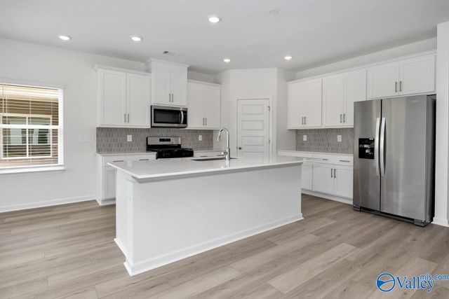 29672 Gallows Cove, Harvest, AL 35749