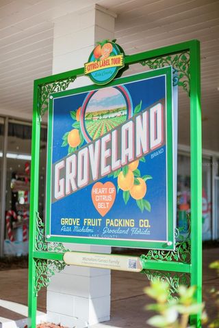 Lot 67 ROYAL PALM DRIVE, Groveland, FL 34736