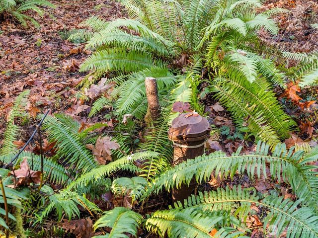 9714 Key Peninsula Hwy NW, Gig Harbor, WA 98329