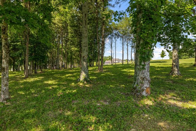 7266 Harlow Dr, College Grove, TN 37046