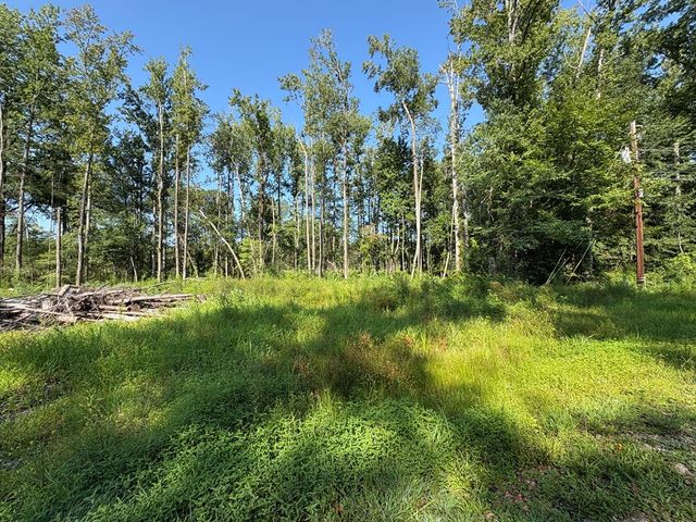 0 Lee Road 0300, Smiths Station, AL 36877