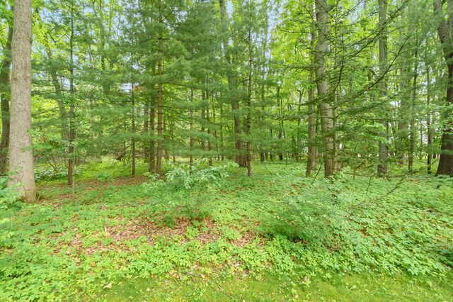 8001 Greenfield Shores Drive, Scotts, MI 49088