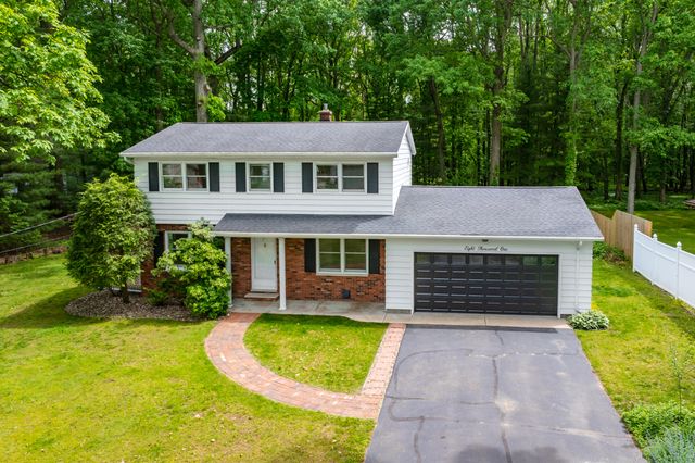 8001 Greenfield Shores Drive, Scotts, MI 49088
