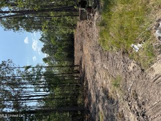 23485 Hwy 603, Kiln, MS 39556