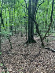 00 Raymond Road, Hazlehurst, MS 39083