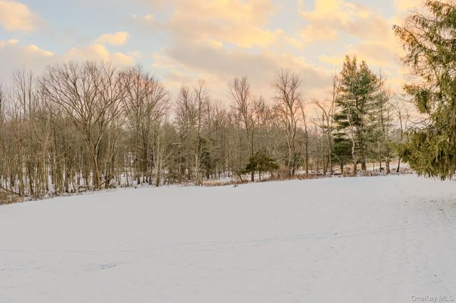 41 Low Road, Wallkill, NY 12589