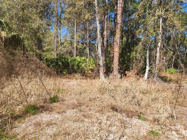 332 REDWOOD BOULEVARD, Georgetown, FL 32139