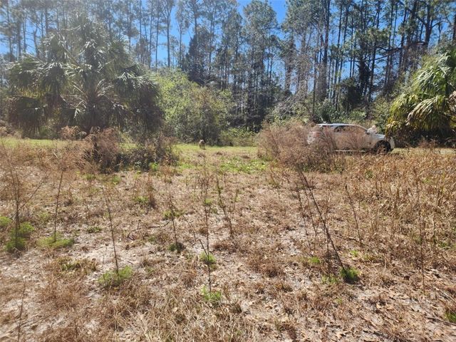 332 REDWOOD BOULEVARD, Georgetown, FL 32139