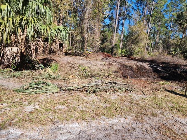 332 REDWOOD BOULEVARD, Georgetown, FL 32139