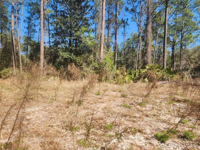 332 REDWOOD BOULEVARD, Georgetown, FL 32139