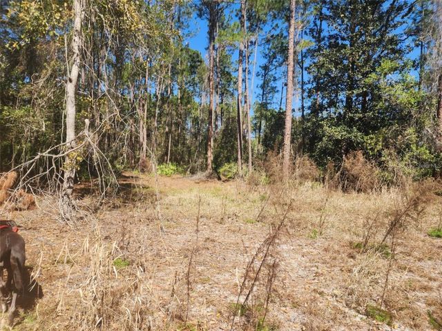 332 REDWOOD BOULEVARD, Georgetown, FL 32139