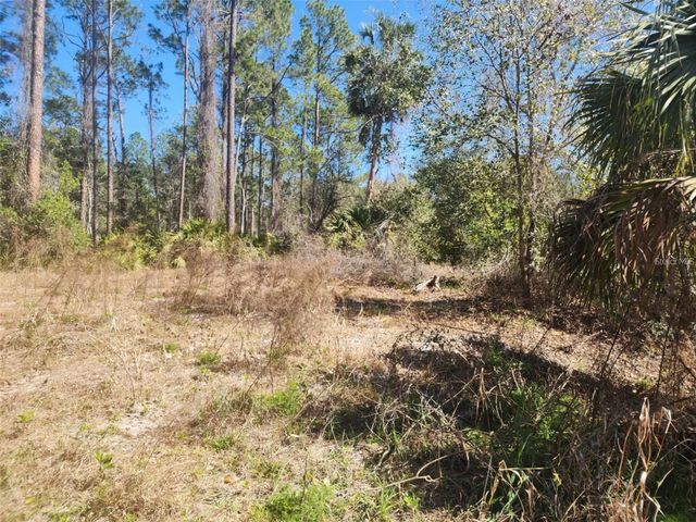 332 REDWOOD BOULEVARD, Georgetown, FL 32139