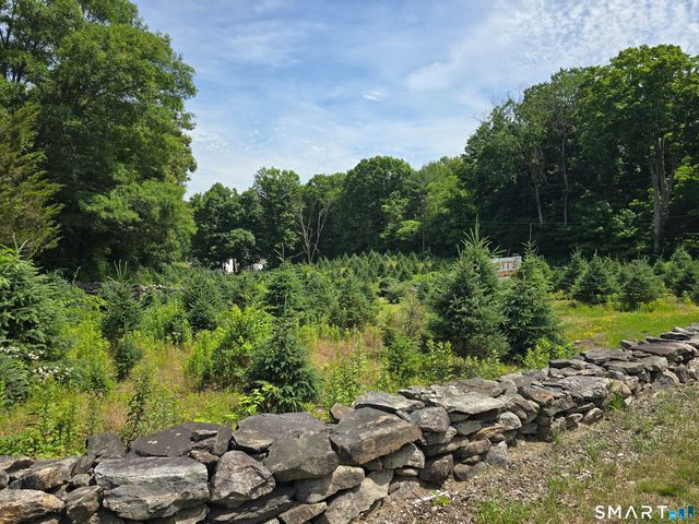Route 6, Andover, CT 06232