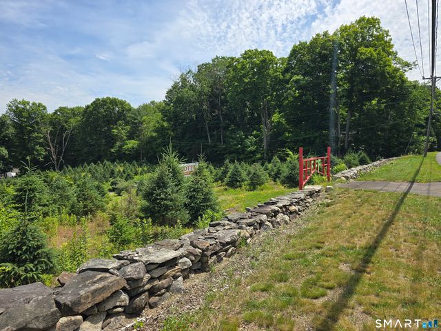 Route 6, Andover, CT 06232