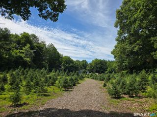 Route 6 Route, Andover, CT 06232