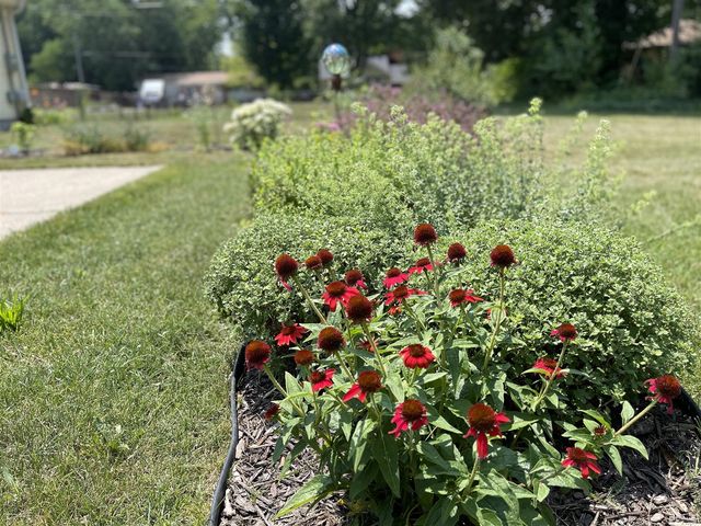2054 Gerald St, Benton Harbor, MI 49022