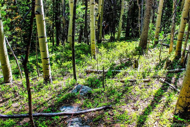 4 Roosevelt Ridge, Black Hawk, CO 80422