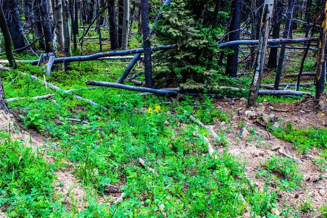 4 Roosevelt Ridge, Black Hawk, CO 80422
