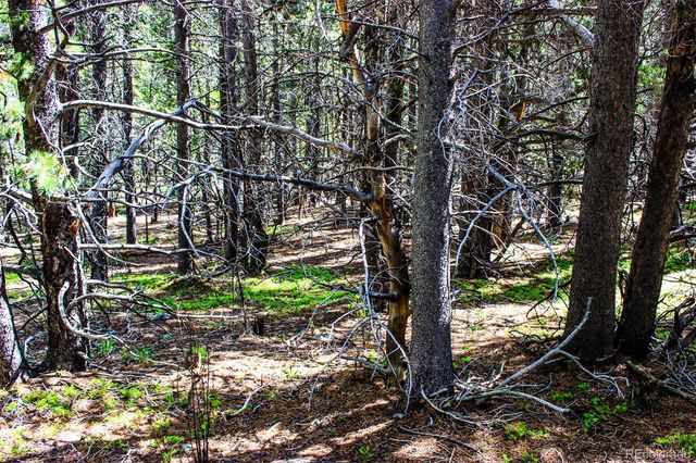 4 Roosevelt Ridge, Black Hawk, CO 80422