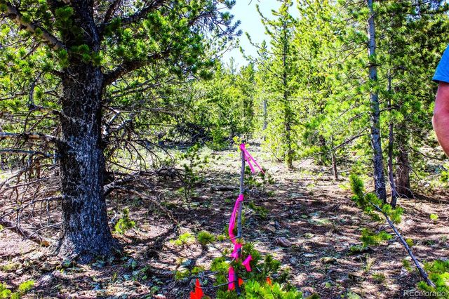 4 Roosevelt Ridge, Black Hawk, CO 80422