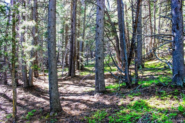 4 Roosevelt Ridge, Black Hawk, CO 80422
