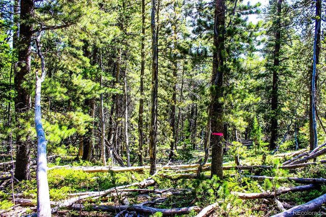 4 Roosevelt Ridge, Black Hawk, CO 80422