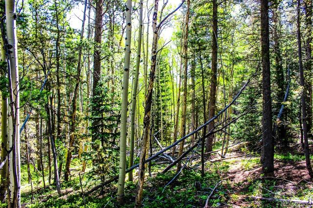 4 Roosevelt Ridge, Black Hawk, CO 80422
