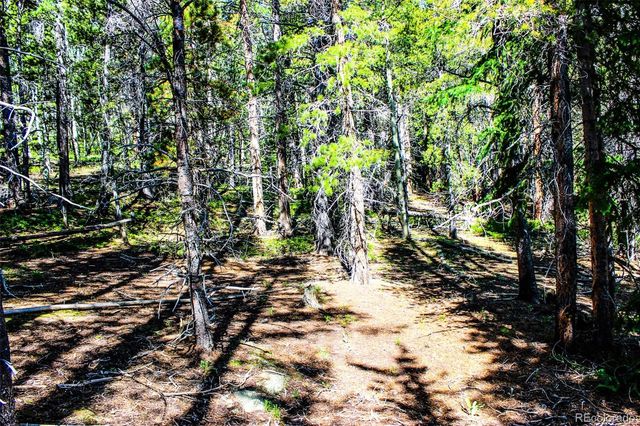 4 Roosevelt Ridge, Black Hawk, CO 80422