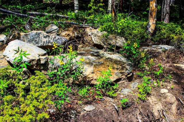4 Roosevelt Ridge, Black Hawk, CO 80422