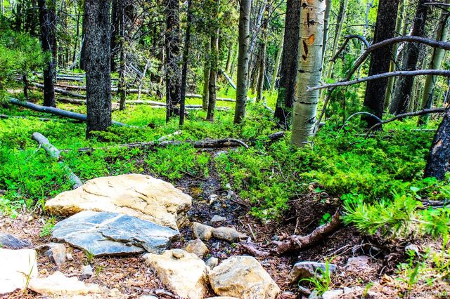 4 Roosevelt Ridge, Black Hawk, CO 80422
