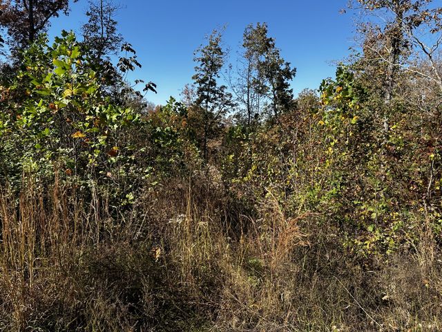 0 Ridge Top Rd, Stewart, TN 37175