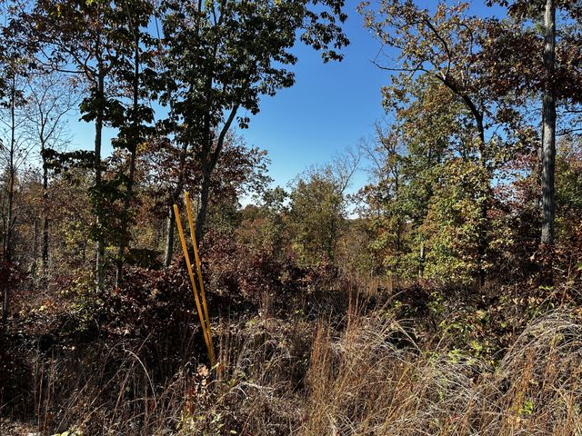 0 Ridge Top Rd, Stewart, TN 37175