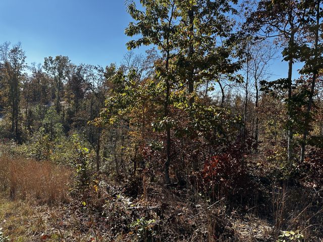 0 Ridge Top Rd, Stewart, TN 37175