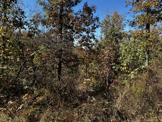 0 Ridge Top Rd, Stewart, TN 37175