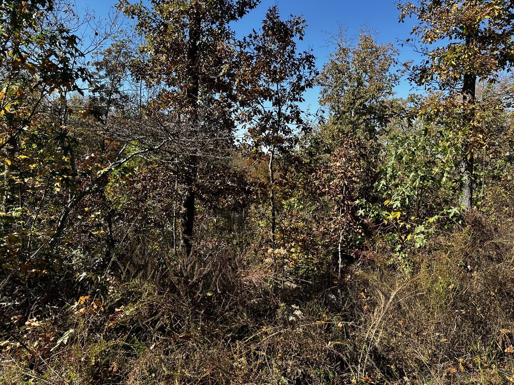 0 Ridge Top Rd, Stewart, TN 37175
