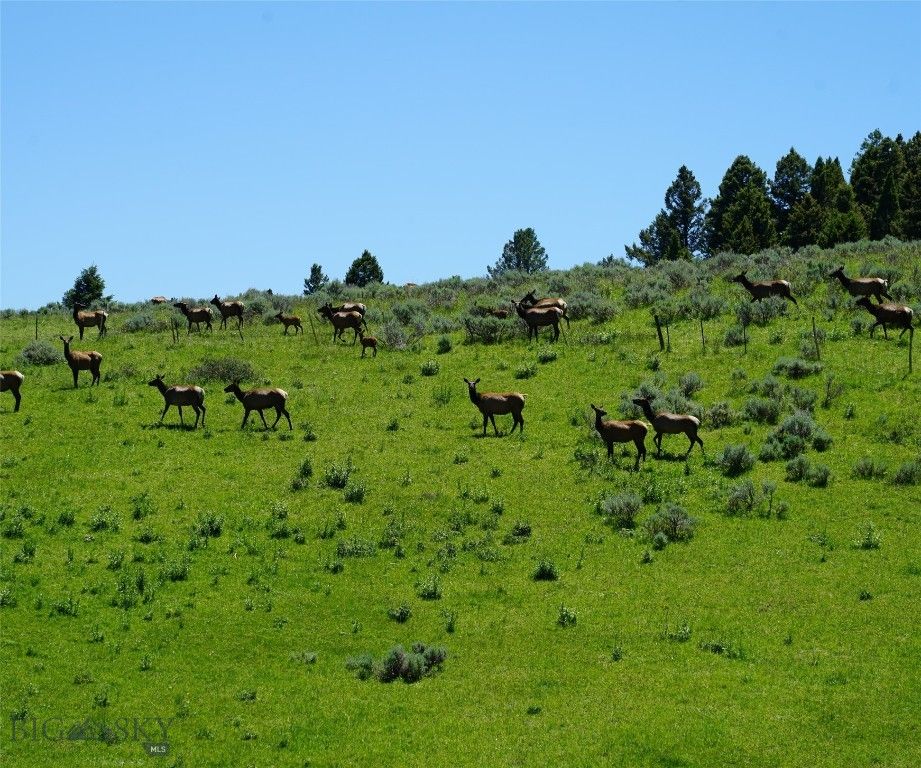 TBD Timberloft, Big Sky, MT 59716 photo 20