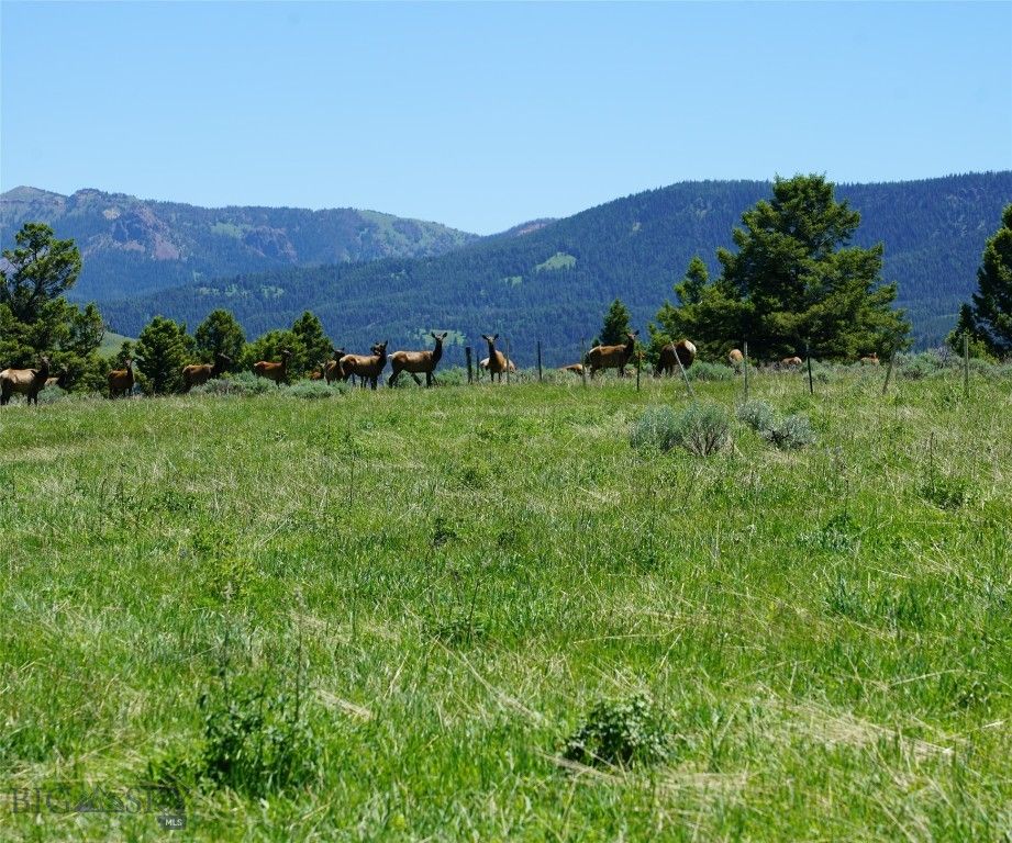 TBD Timberloft, Big Sky, MT 59716 photo 25