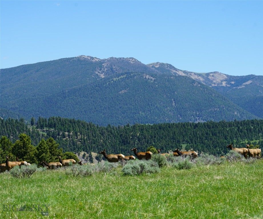 TBD Timberloft, Big Sky, MT 59716 photo 29