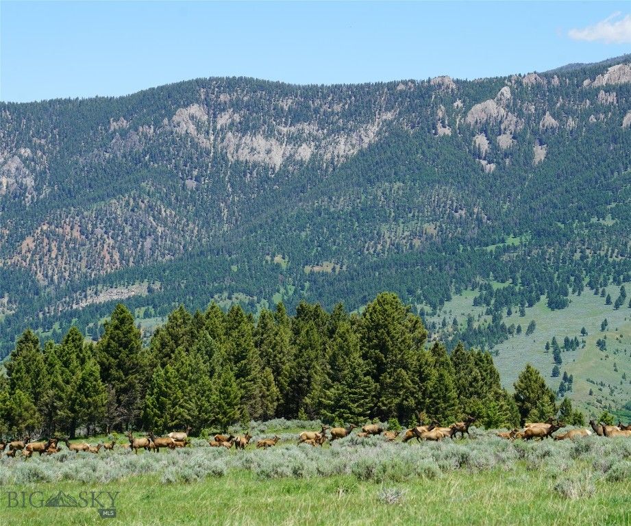 TBD Timberloft, Big Sky, MT 59716 photo 34