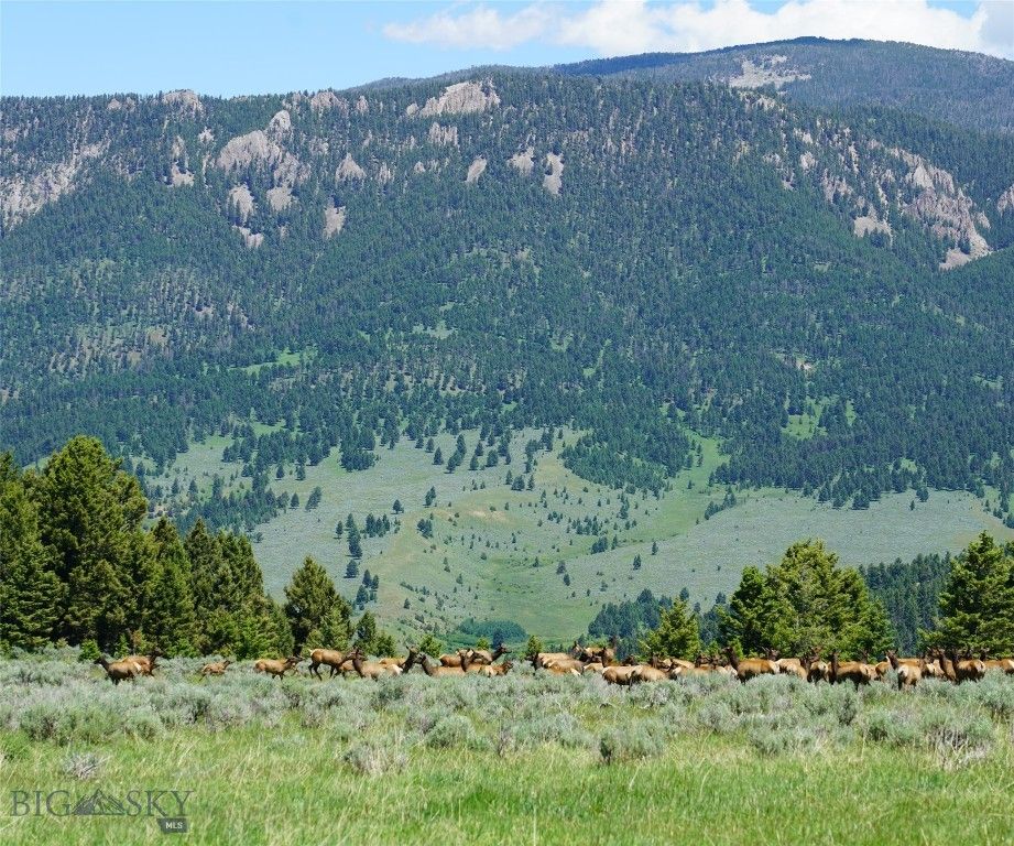 TBD Timberloft, Big Sky, MT 59716 photo 35