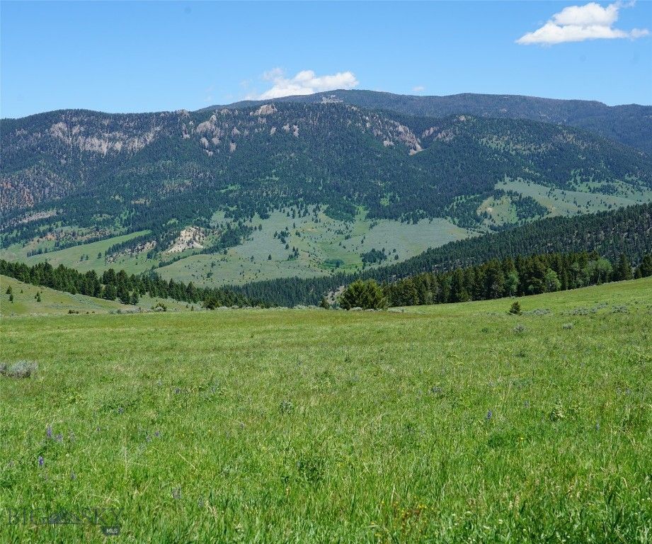 TBD Timberloft, Big Sky, MT 59716 photo 40