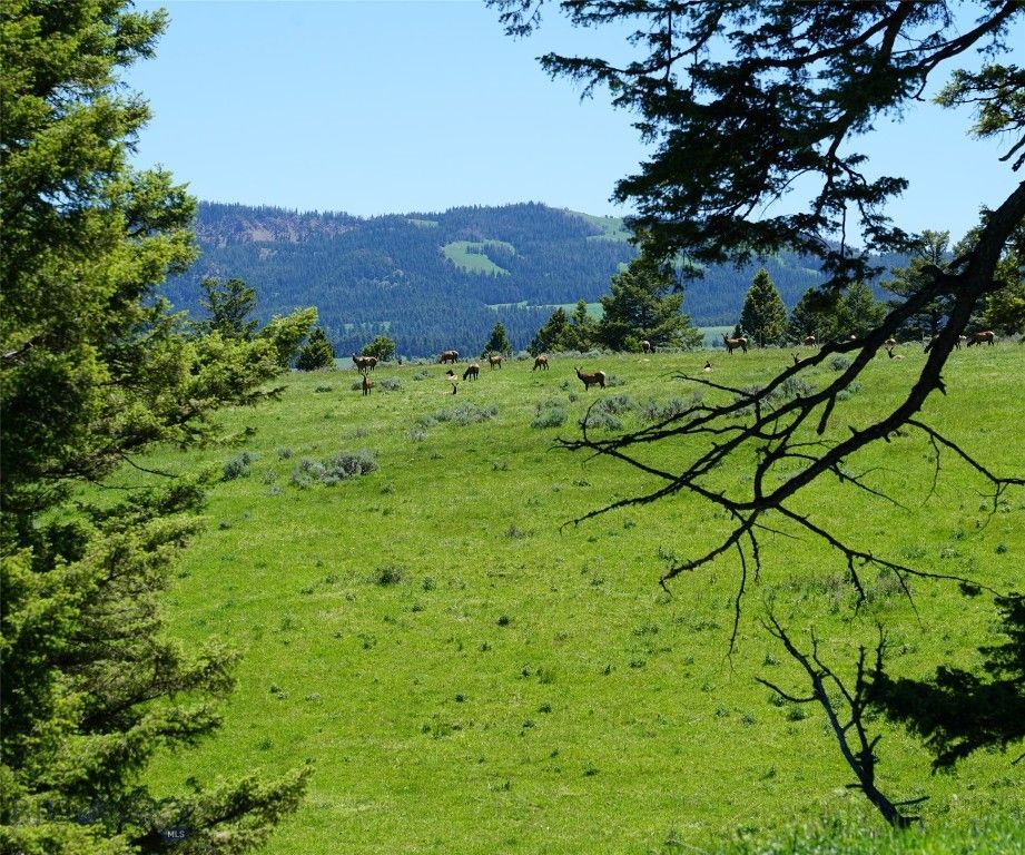 TBD Timberloft, Big Sky, MT 59716 photo 42