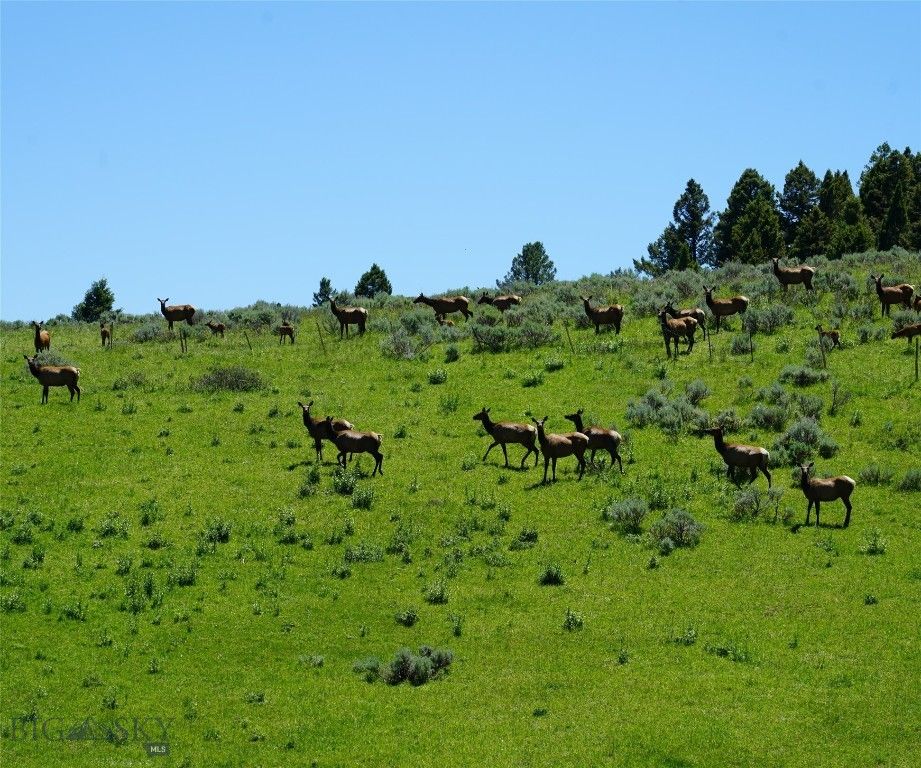 TBD Timberloft, Big Sky, MT 59716 photo 44