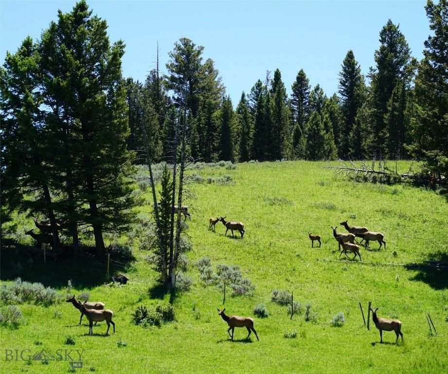 TBD Timberloft, Big Sky, MT 59716 photo 45