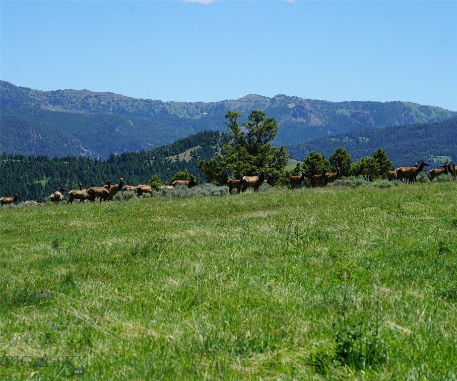 TBD Timberloft, Big Sky, MT 59716 photo 50