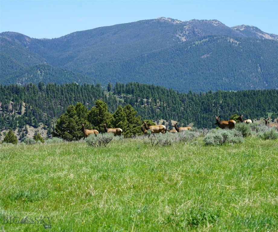 TBD Timberloft, Big Sky, MT 59716 photo 53