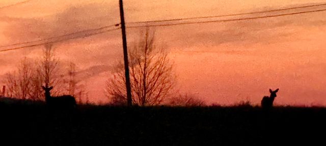 392 Goodhope Church Road, Eubank, KY 42567