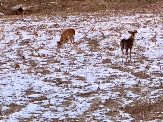 392 Goodhope Church Road, Eubank, KY 42567