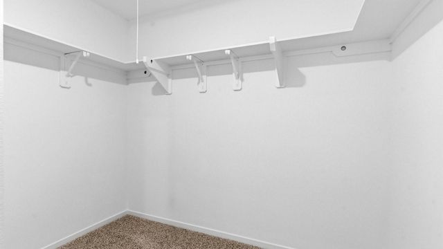 3529 Longhorn Valley Street, League City, TX 77573