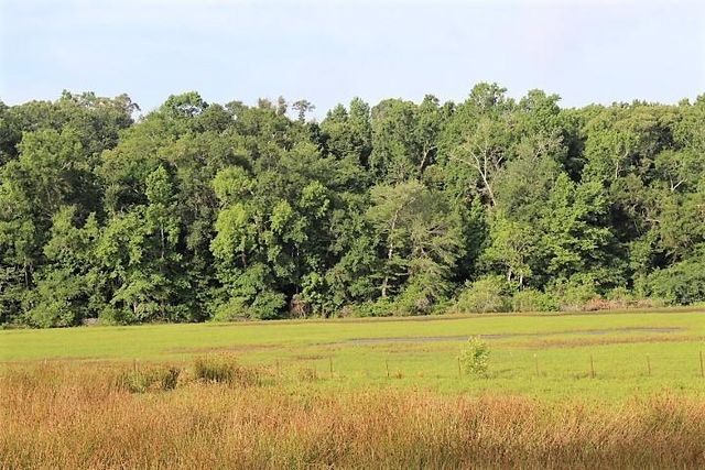 12789 E County Road 112, Centerville, TX 75833